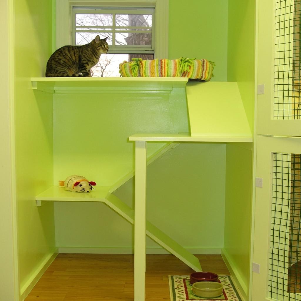 Multi-level cat condo