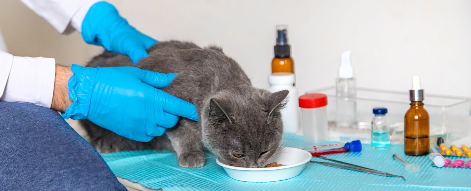 Medication Administration